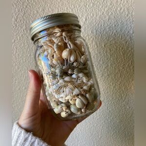 Seashell Jar Decor/ Bead Lot- Natural Cream Beach Vibes